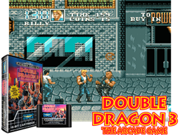 Double Dragon 3 - The Arcade Game